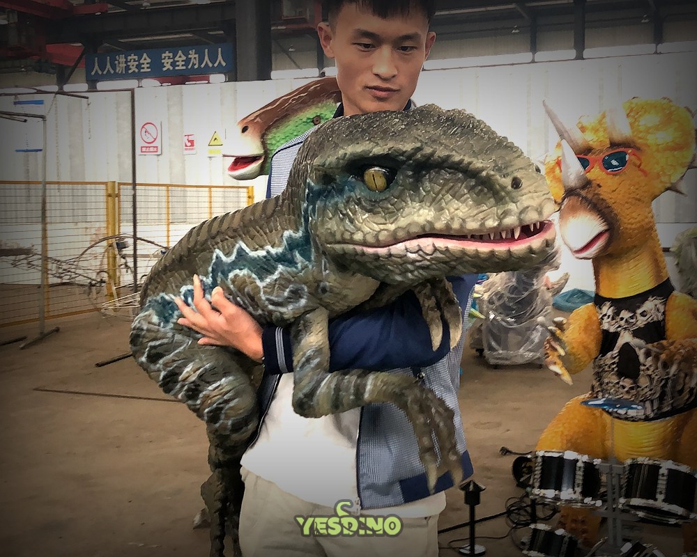 201905.jpg