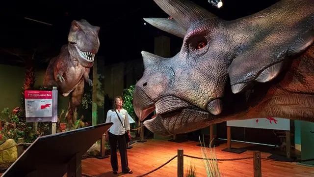 Animatronic Dinosaurs in Museums.jpg
