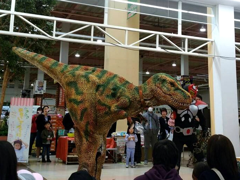 233.jpg