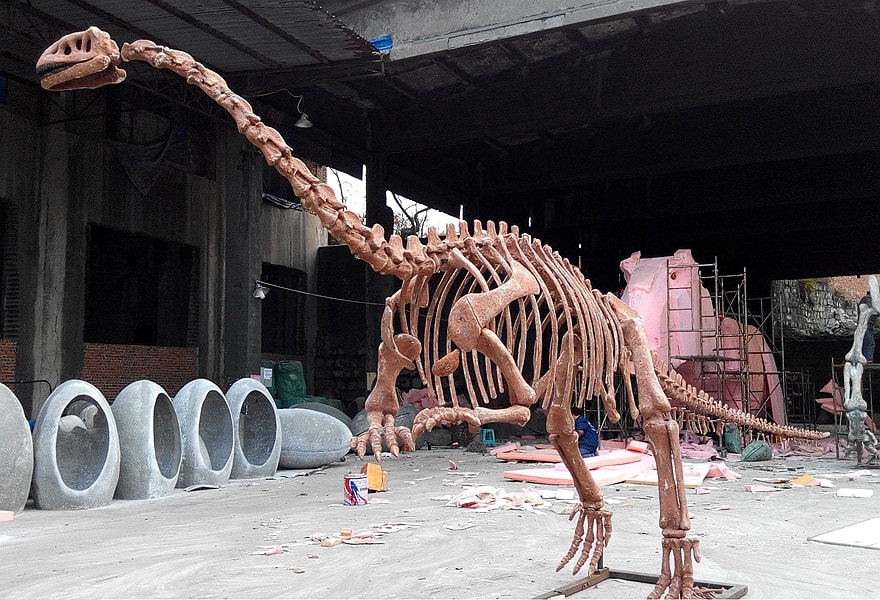 dinosaur fossil.jpeg