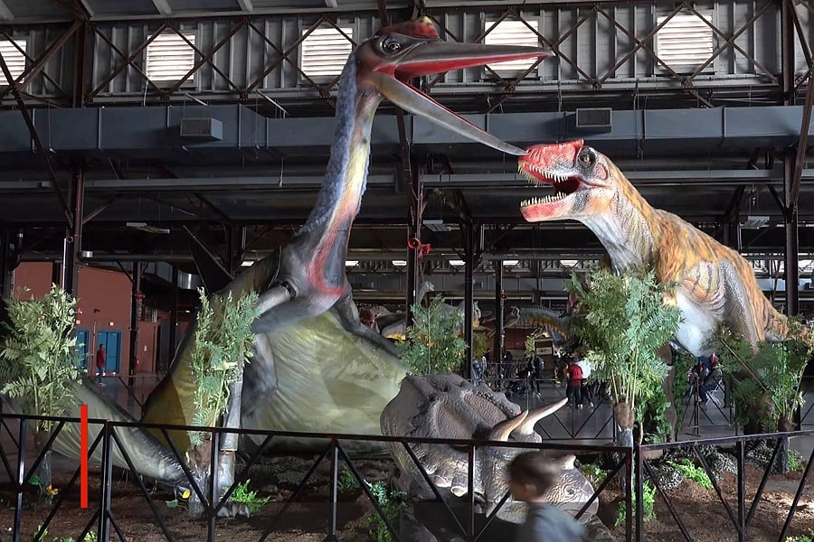 Functions of Dinosaur Exhibitions Functions of Dinosaur Exhibitions