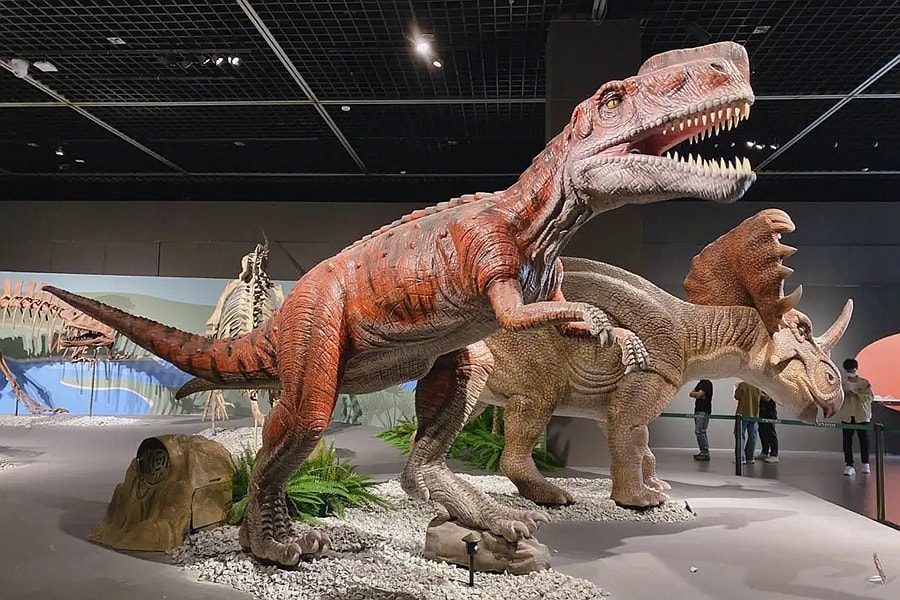 General Dinosaur Science General Dinosaur Science