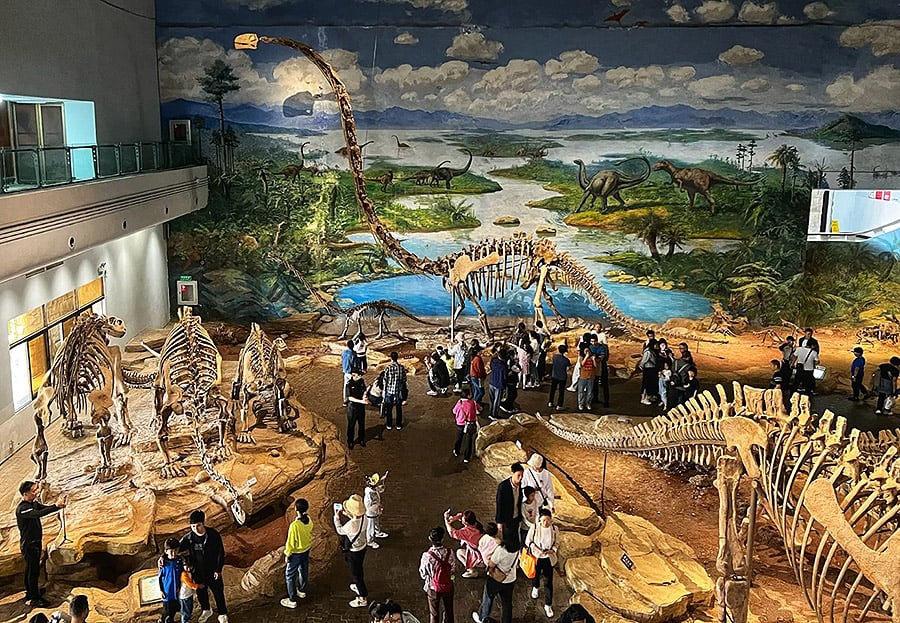 dinosaur skeleton in museum