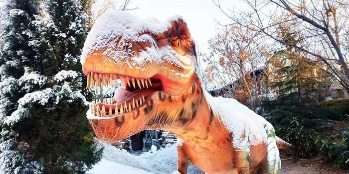 Animatronic Dinosaurs in Cold Weather.jpg