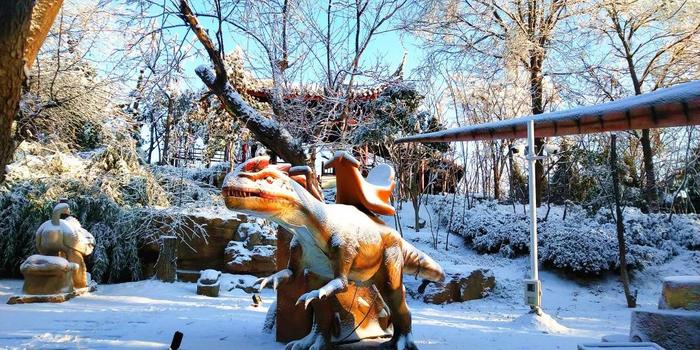 rides in snow.jpg