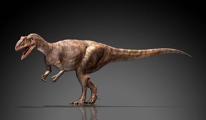 Mapusaurus.jpg
