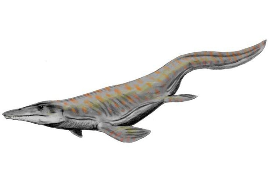 Tylosaurus