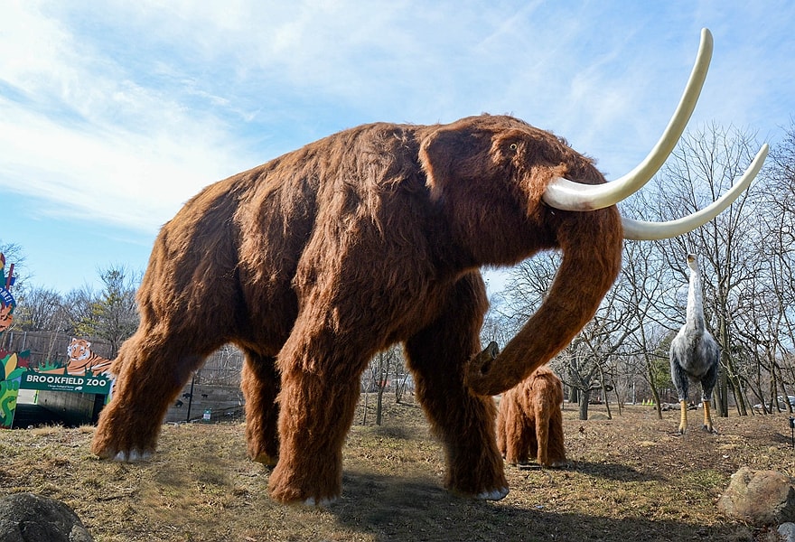 Scope of Application for Animatronic Animals.jpeg
