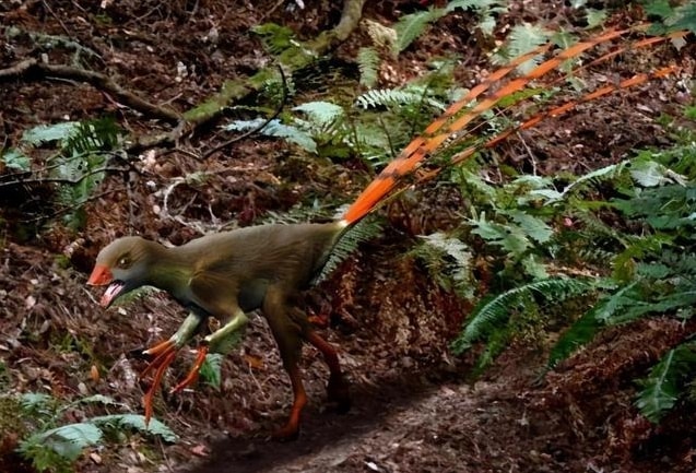 Epidexipteryx.jpg