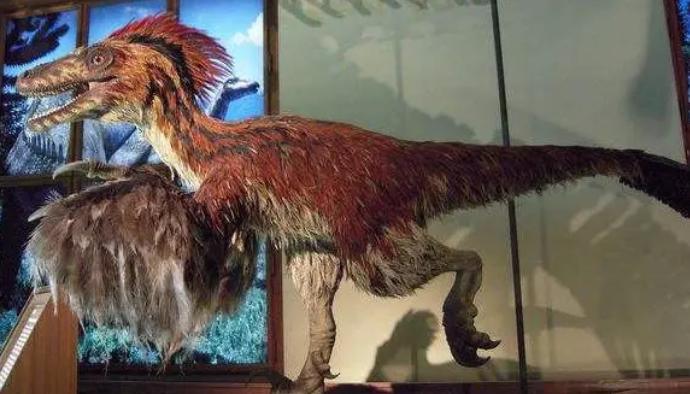 Deinonychus (Velociraptor).jpg