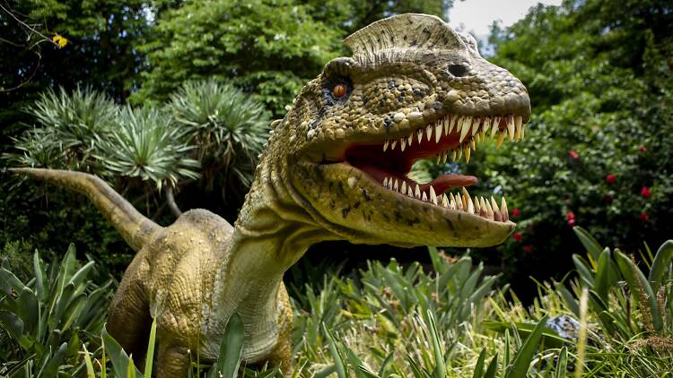 Your Guide to Buying Animatronic Dinosaurs 6 Essential Tips.jpeg