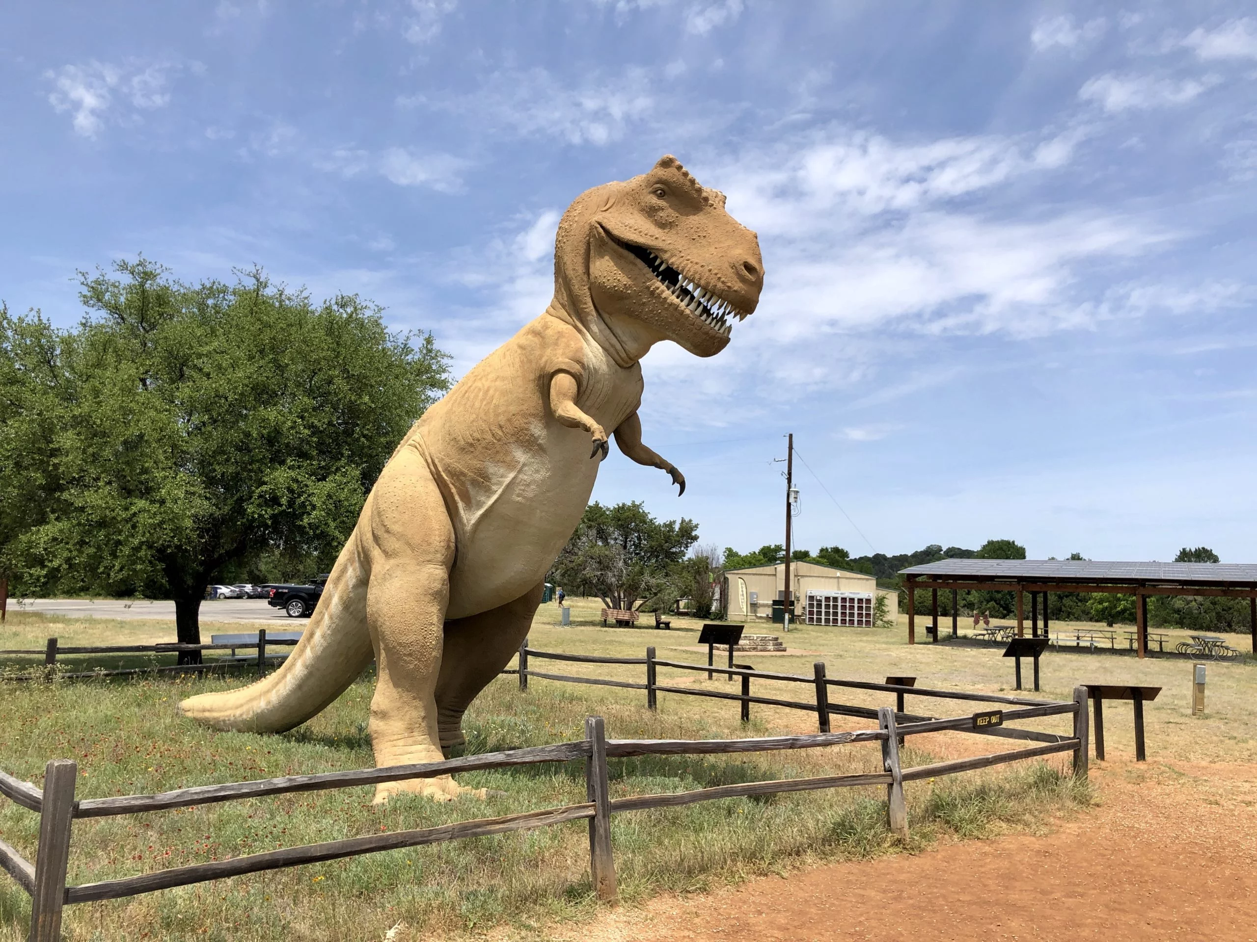 Interactive dinosaur features 5 sensor technologies.jpg