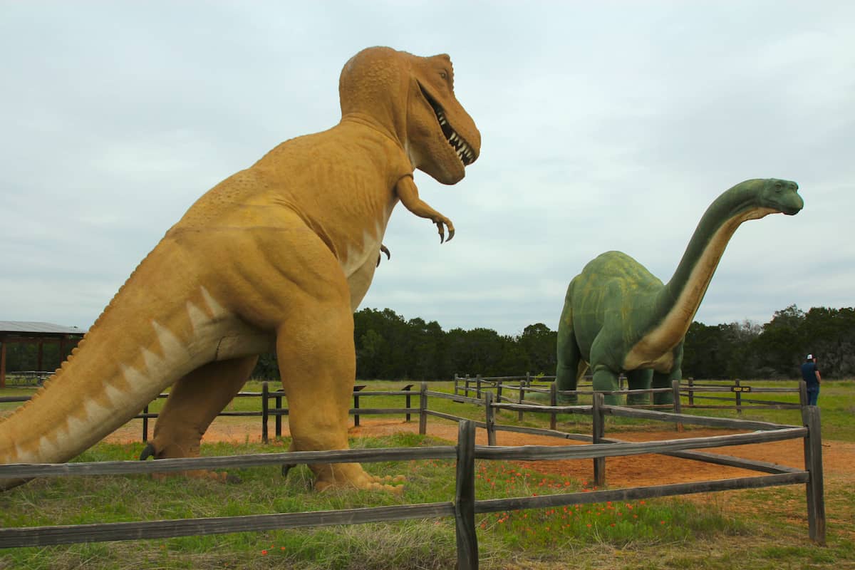 Educational animatronics 6 school exhibit idea.jpg