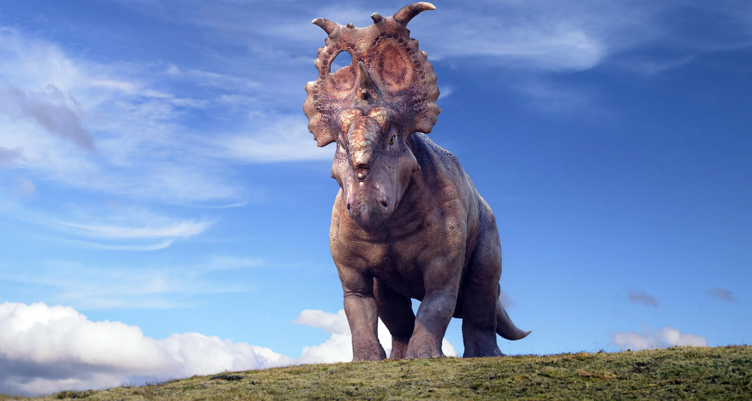 5 Essential Tools for Animatronic Dinosaur Field Repairs.jpg