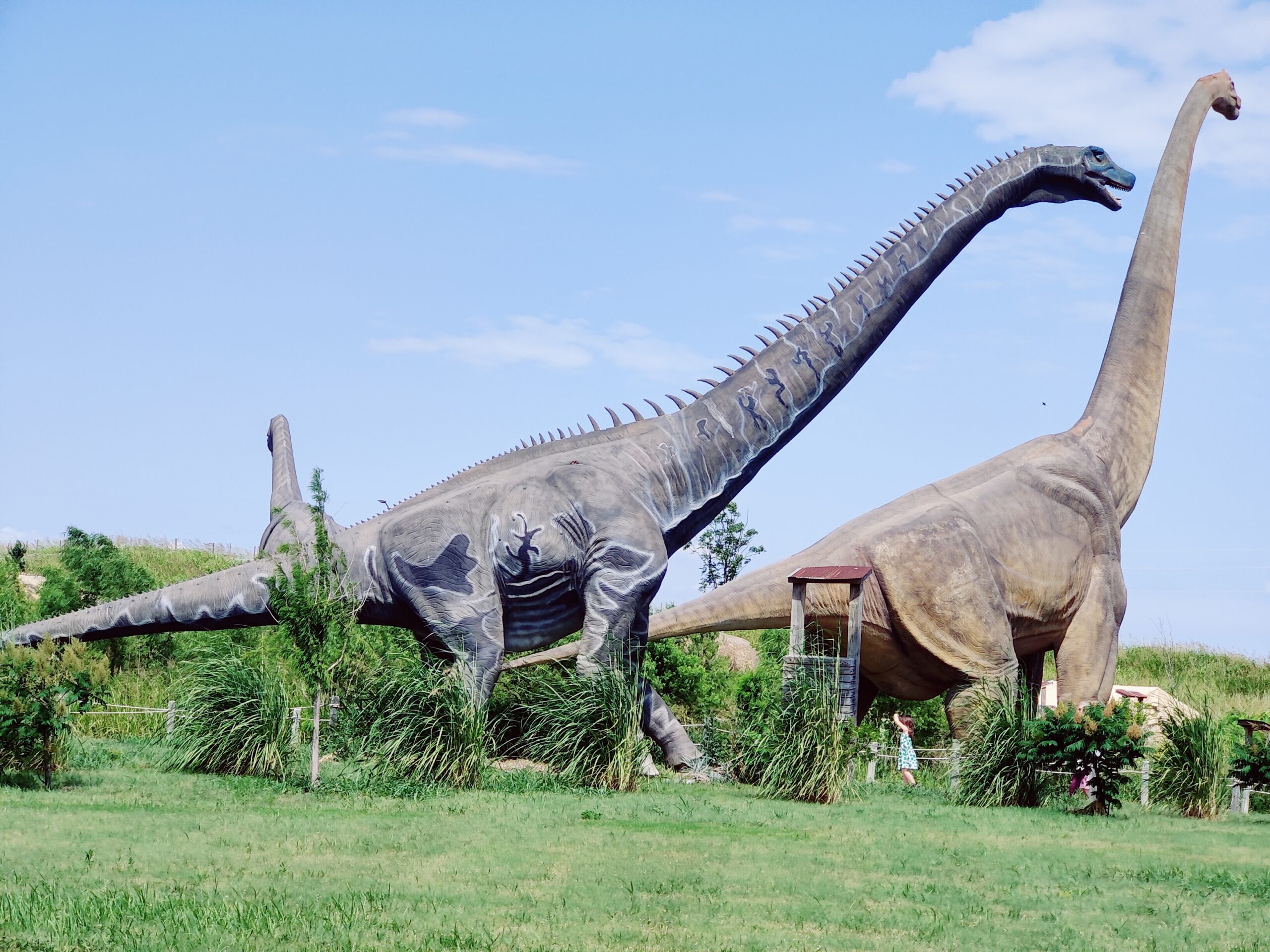 Installing Large Animatronic Dinosaurs 6 Site Requirements.jpg