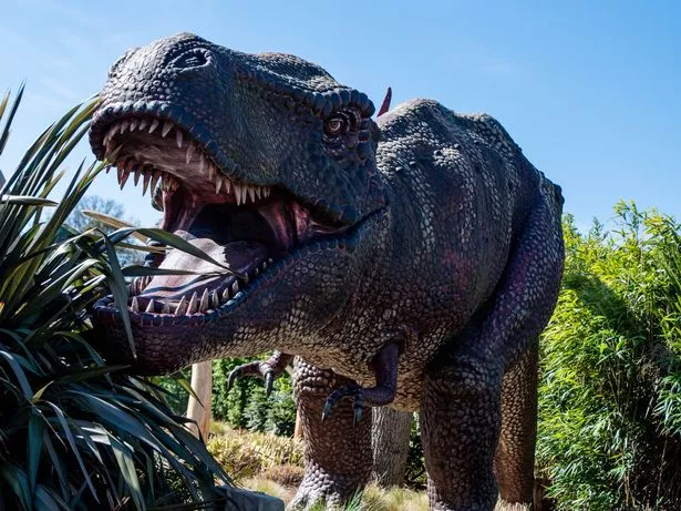 6 Safety Certifications for Public Animatronic Displays.jpg