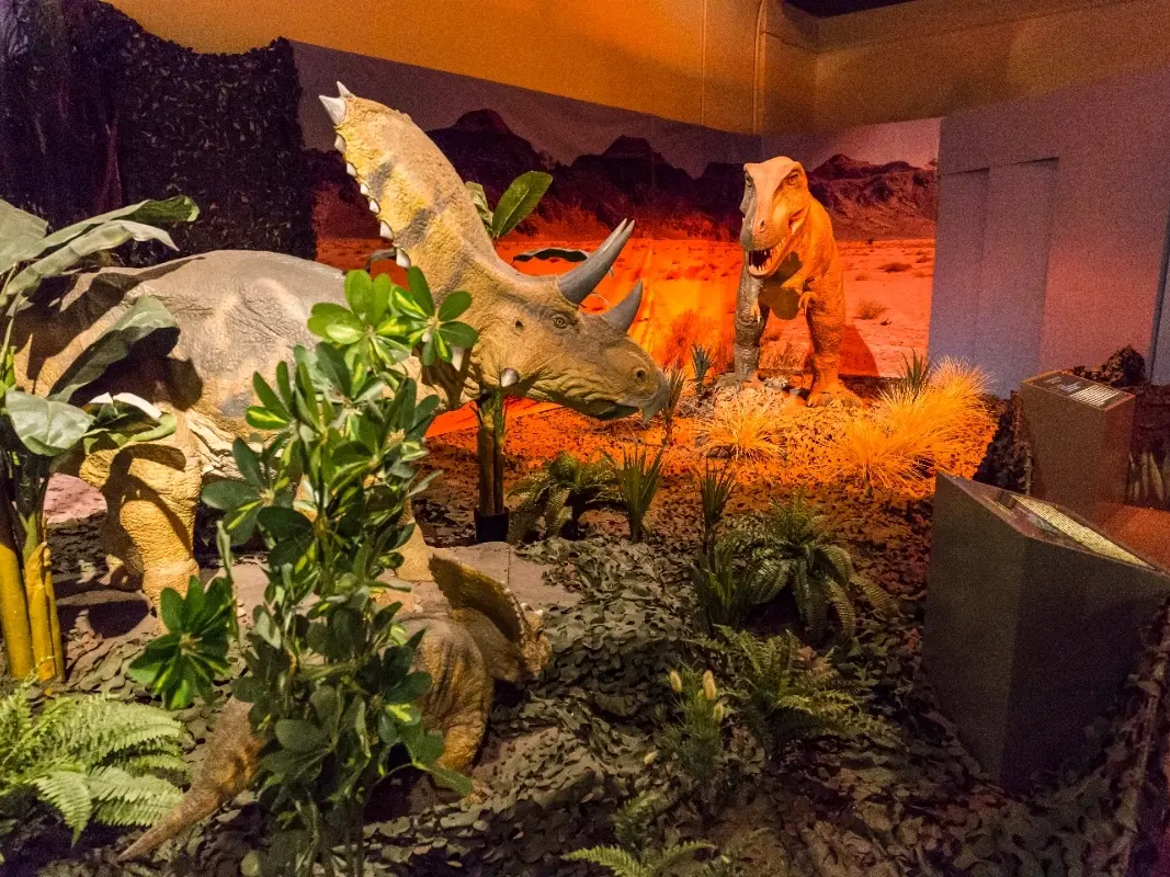 Dinosaur Exhibition in Shopping Centers