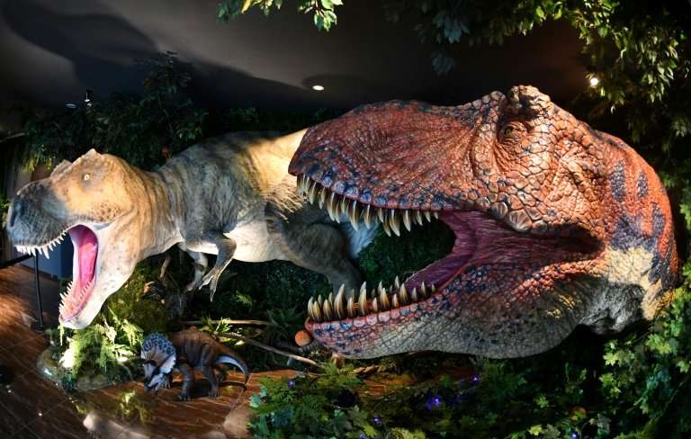 6 Common Animatronic Control System Failures + Fixes.jpg
