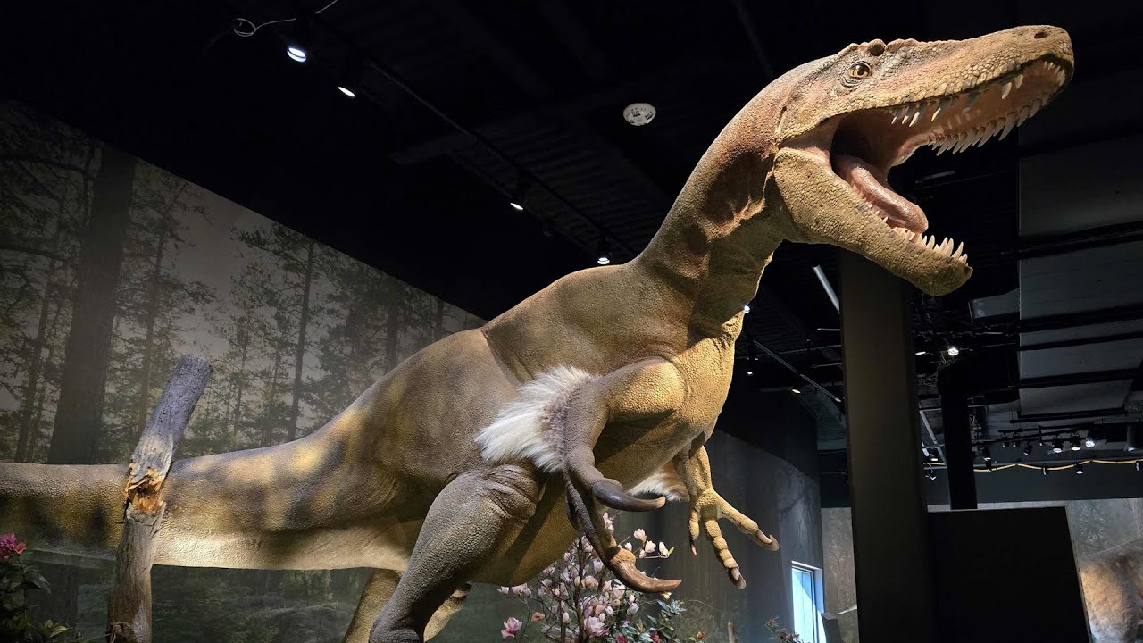5 Budget Planning Steps for Museum Dinosaur Exhibits.jpg