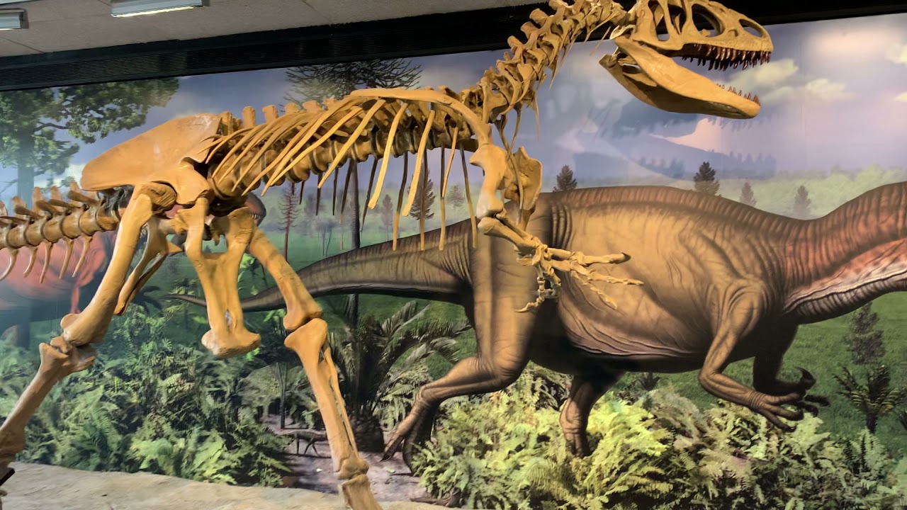7 Most Popular Animatronic Species for Zoos.jpg
