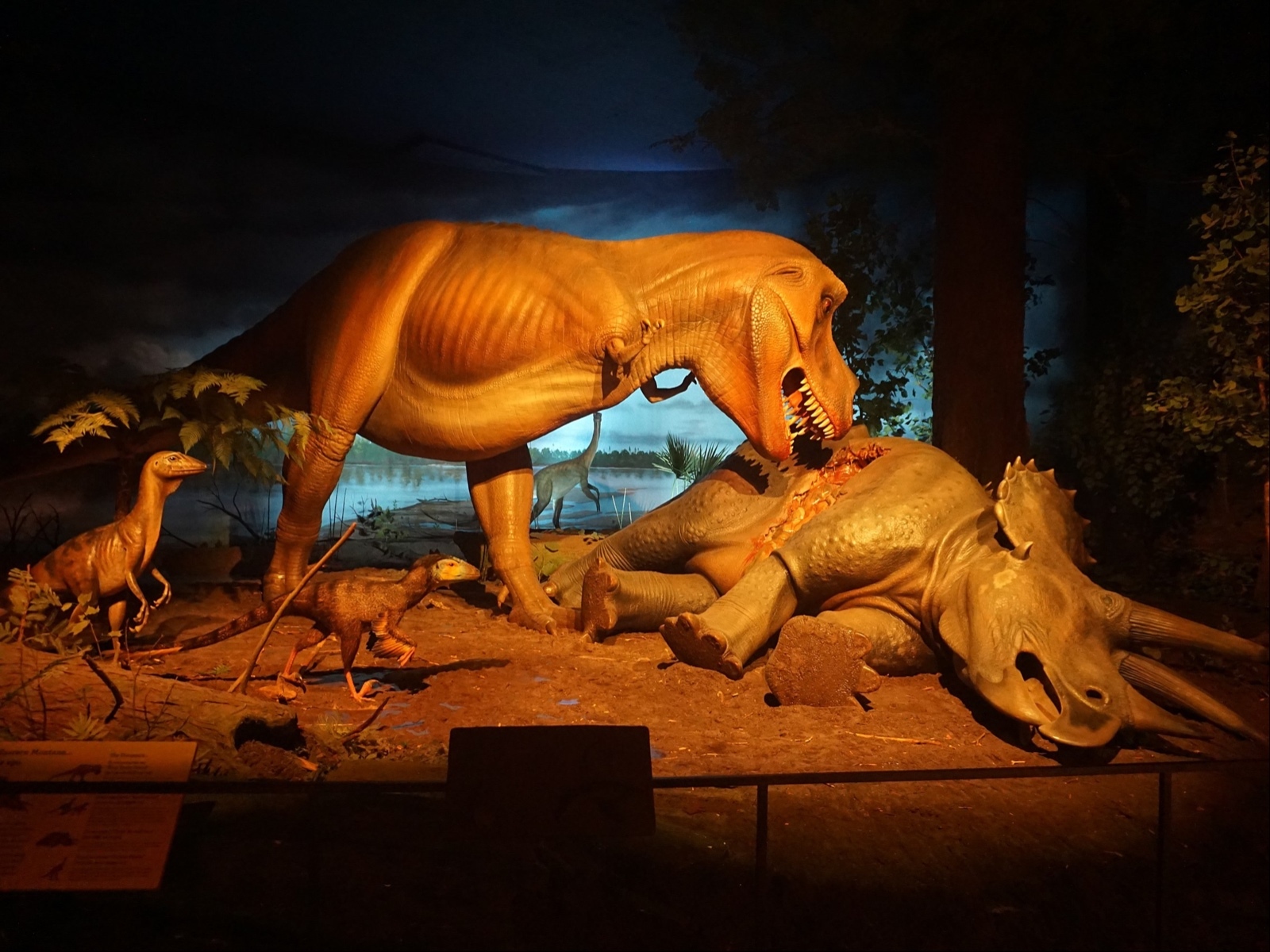 5 Museum Lighting Techniques for Animatronic Displays.jpg