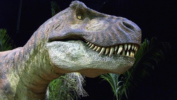 Blow up dinosaur costume buying guide 6 tips.jpg