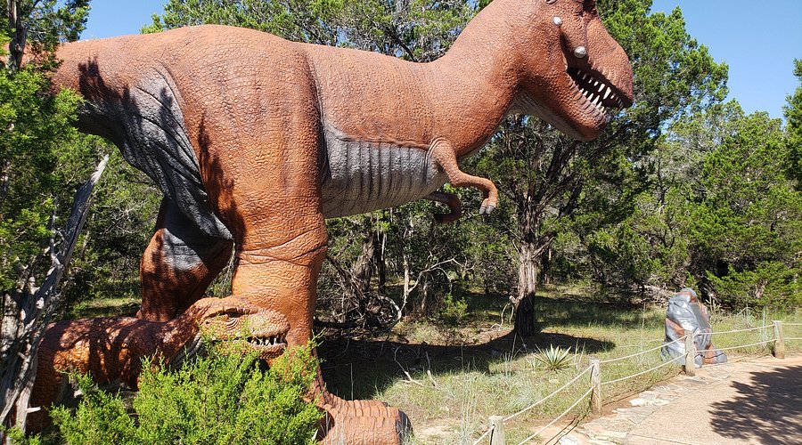 Maintaining Animatronic Dinosaur Eyes 6 Cleaning Procedures.jpg