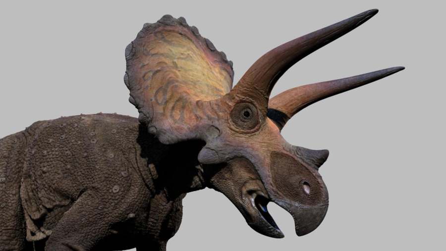 Animatronic Dinosaur Skin Aging Techniques 4 Realistic Weathering Methods.jpg