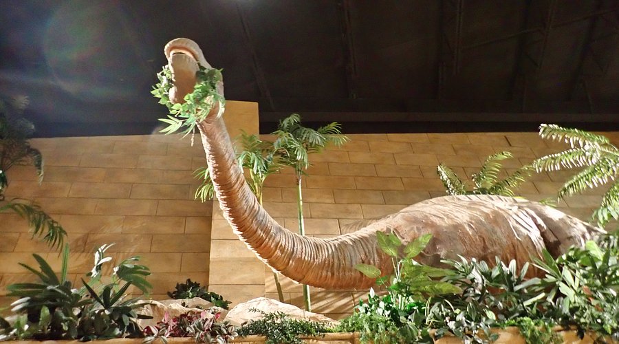 Animatronic Dinosaur Costume Cleaning 5 Material Specific Methods.jpg