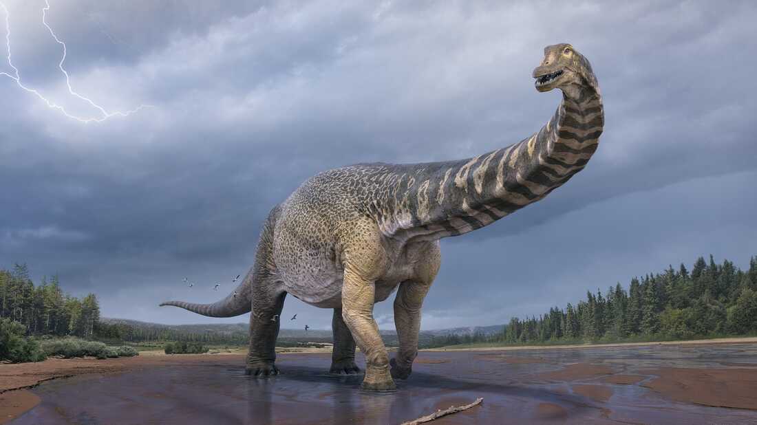 How to Animatronic Dinosaur Neck Movement 5 Axis Control Systems.jpg