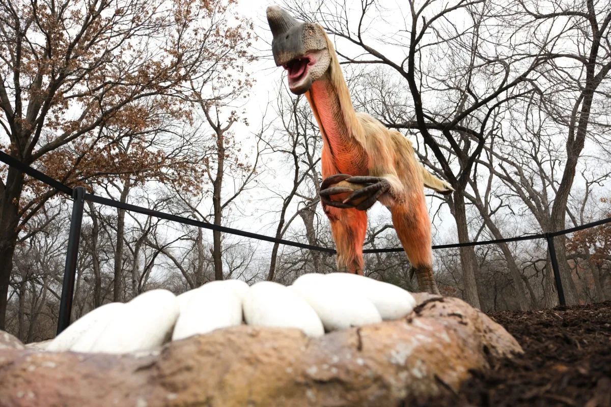 Dinosaur1.jpg