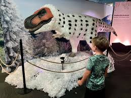 How,Clean,and,Store,Dinosaur