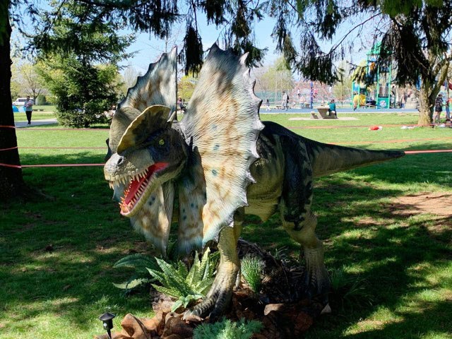 Dinosaur Exhibition in Shopping Centers