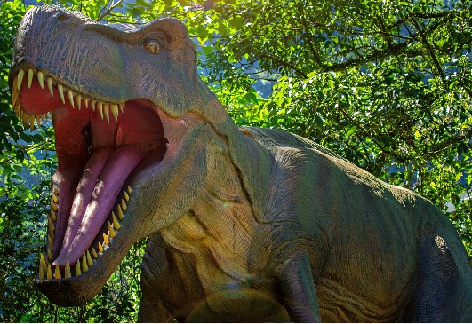 Dinosaur Exhibition in Shopping Centers