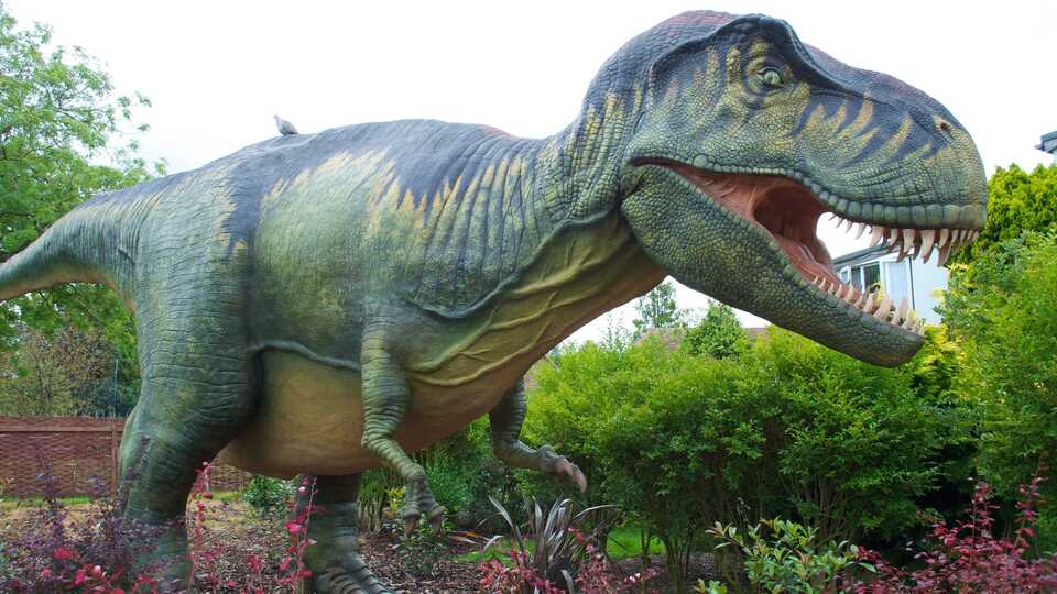 Dinosaur Exhibition in Shopping Centers