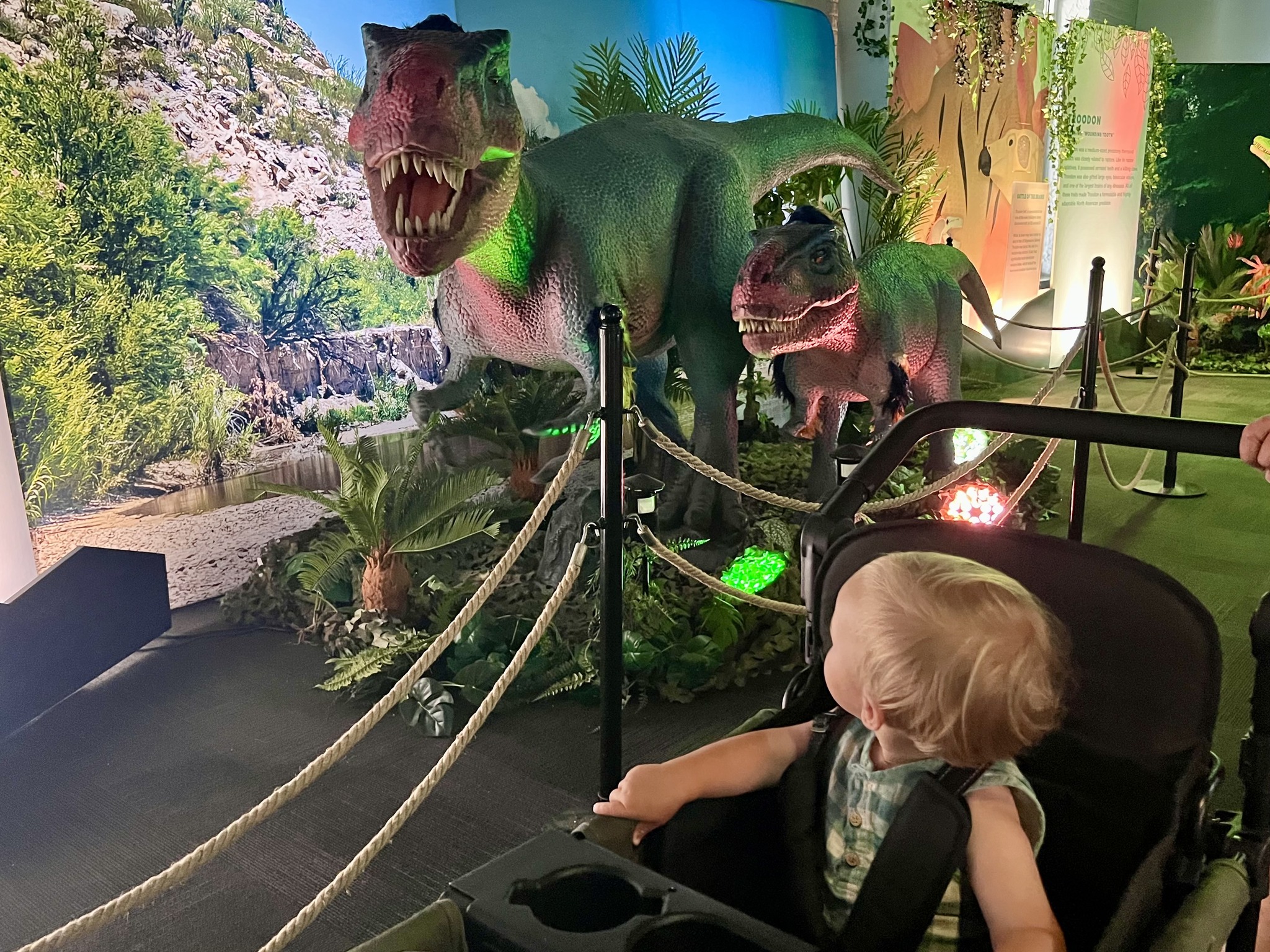 Dinosaur Exhibition in Shopping Centers