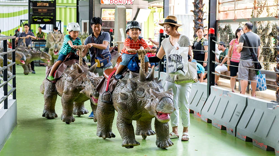 Amusement Park